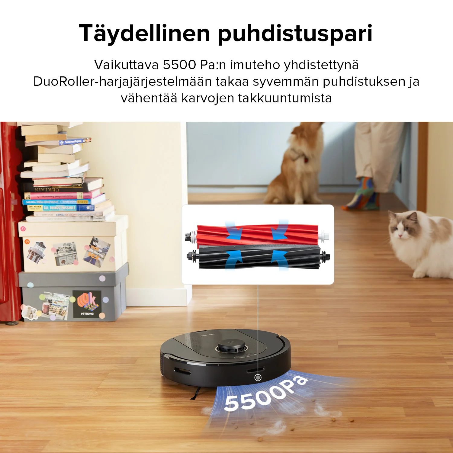 Pikkukuva 3