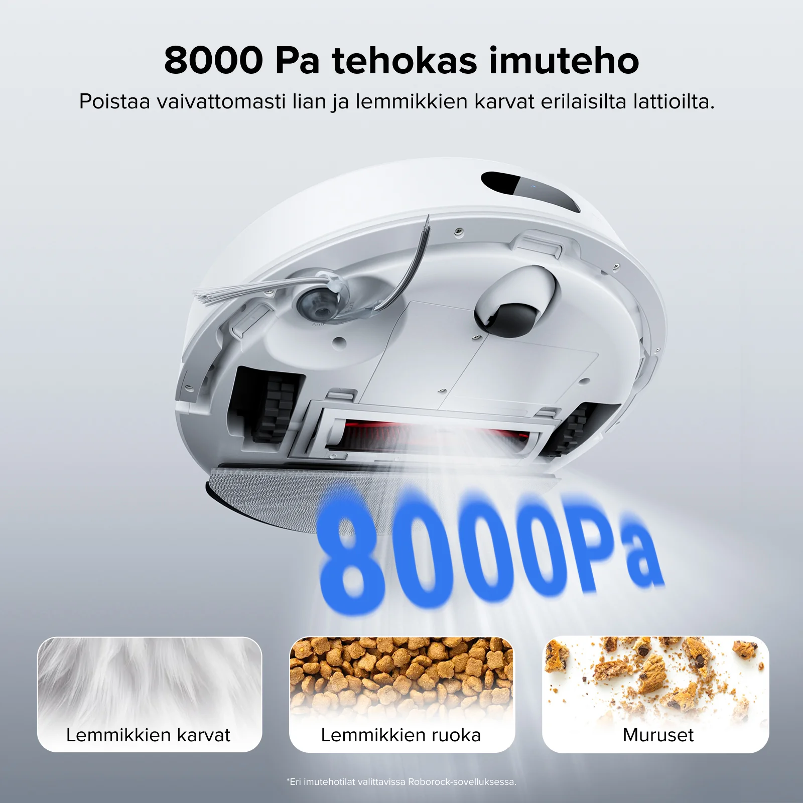 Pikkukuva 5
