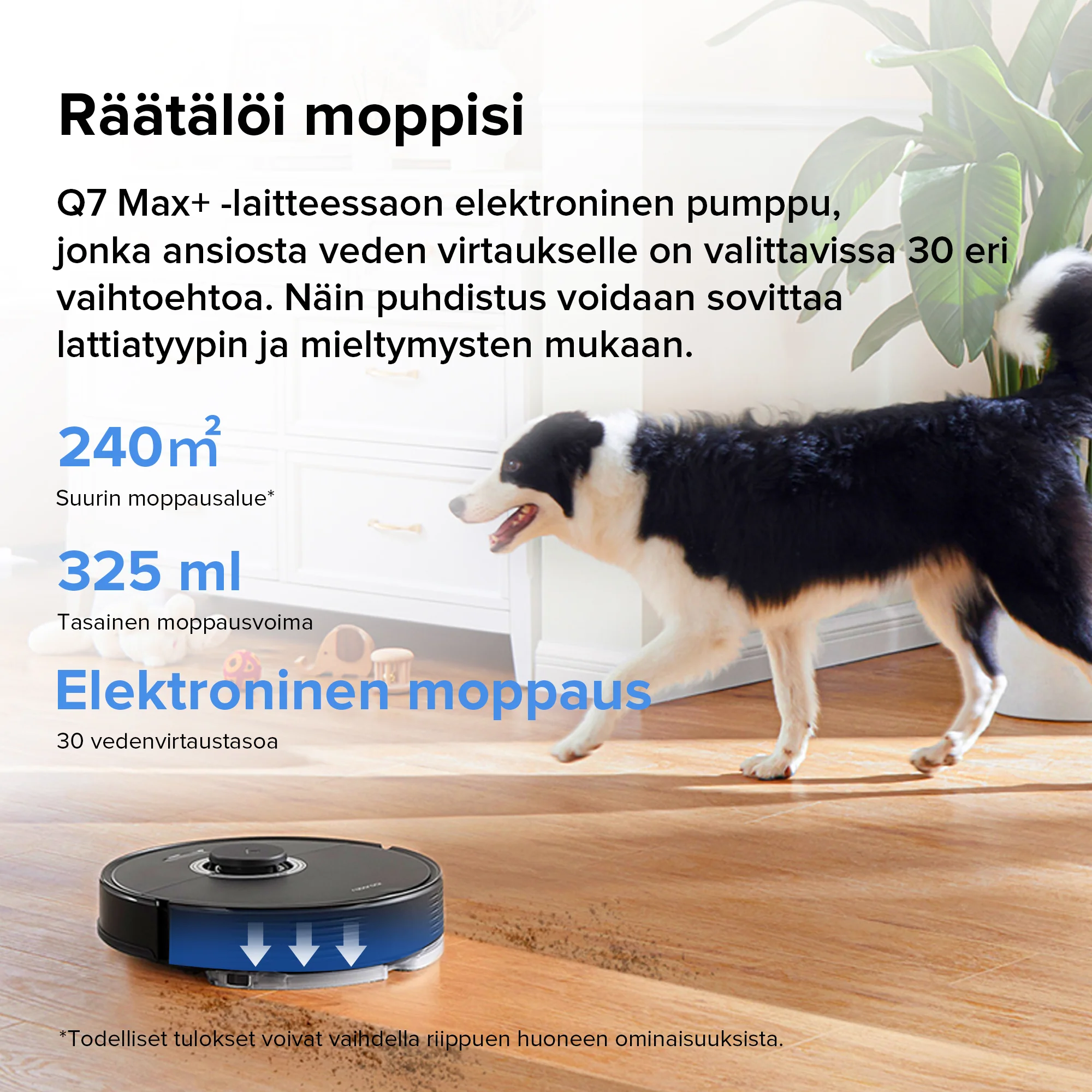 Pikkukuva 16