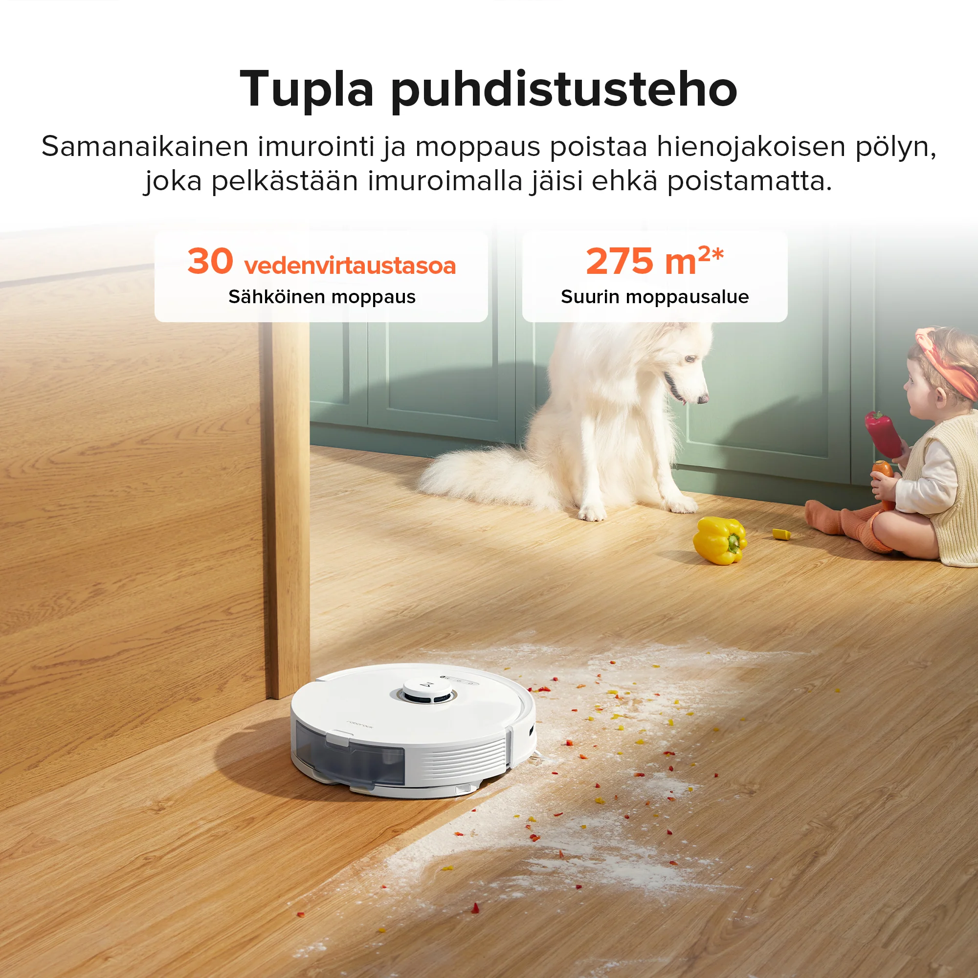 Pikkukuva 13